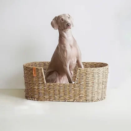 Grand Panier en Osier pour Chien