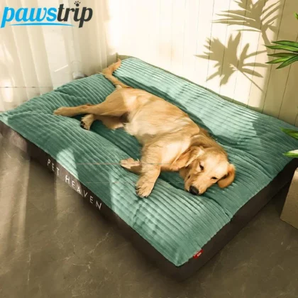 Lit Apaisant pour Chien