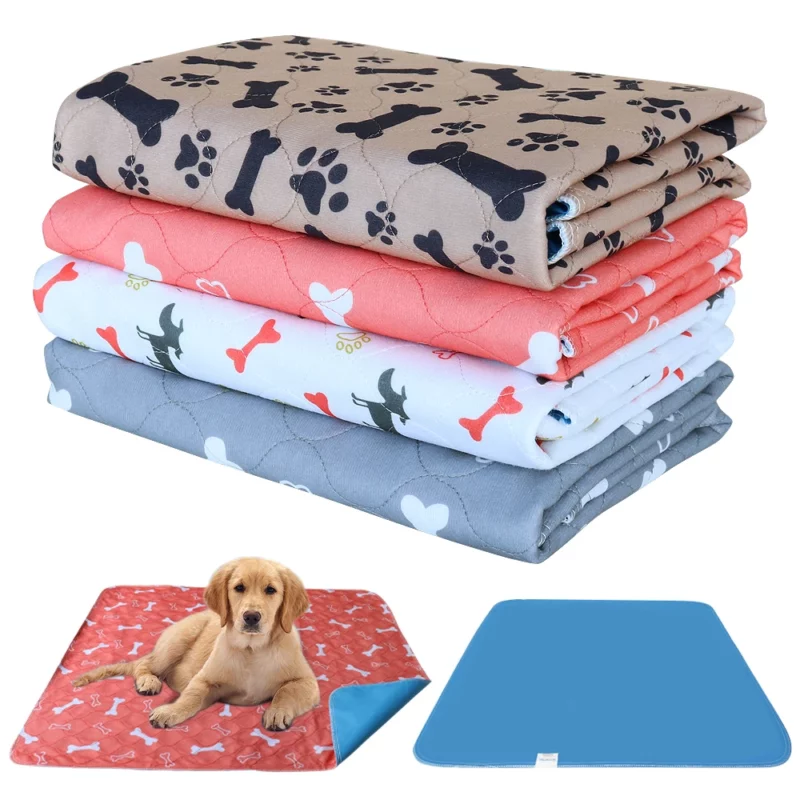 Tapis Absorbant Chien Eau