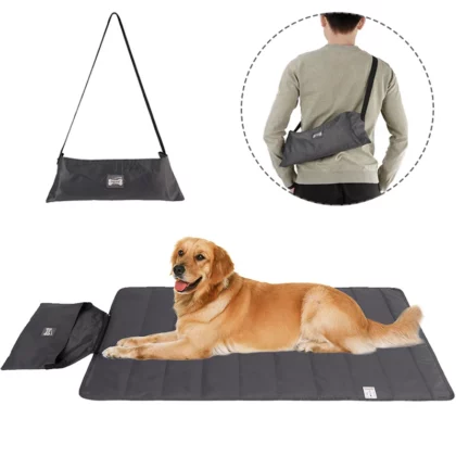 Tapis pour Vieux Chien