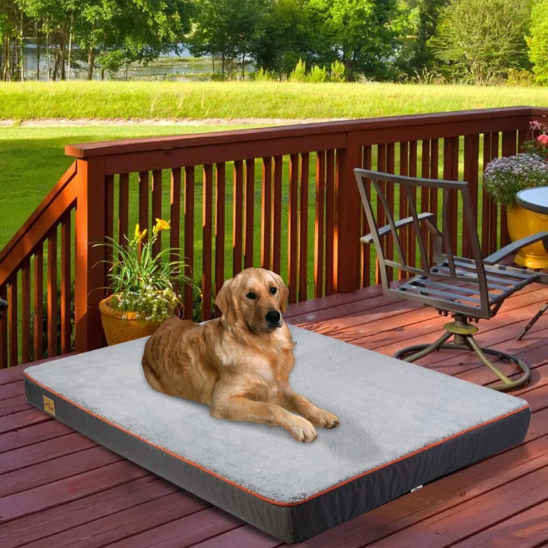 Tapis Relaxant Chien