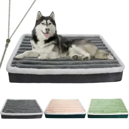 Tapis Chien Indéchirable