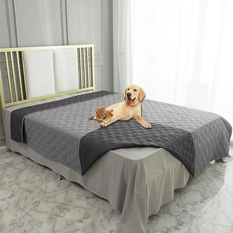 Tapis Absorbant pour Chien Incontinent