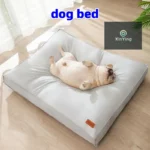 Matelas Orthopédique pour Chien