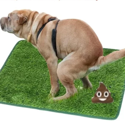 Tapis Gazon Chien