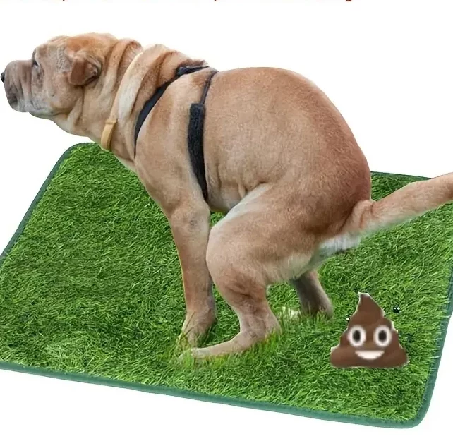 Tapis Gazon Chien