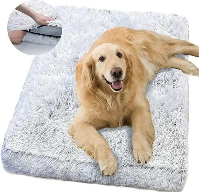 Tapis pour Chien Déhoussable