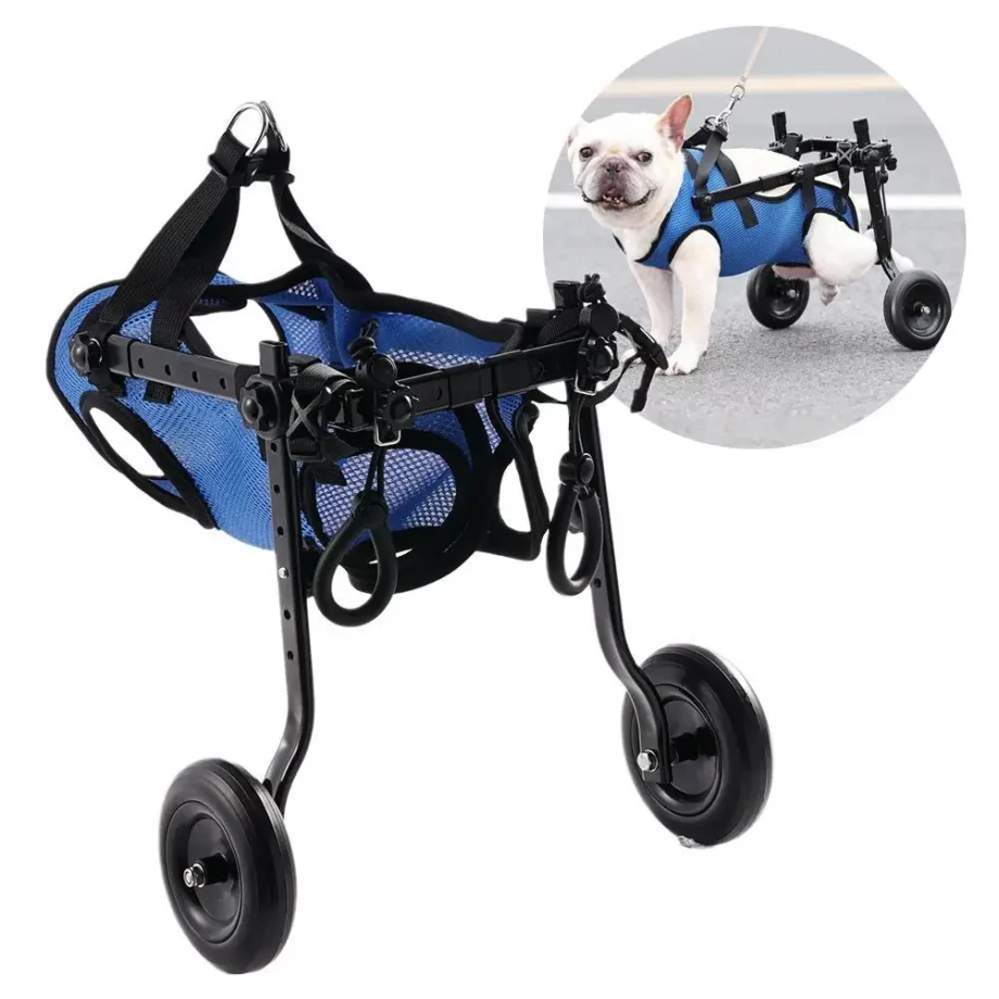 Fauteuil Roulant pour Chien