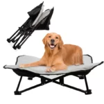 Chaise pour Chien