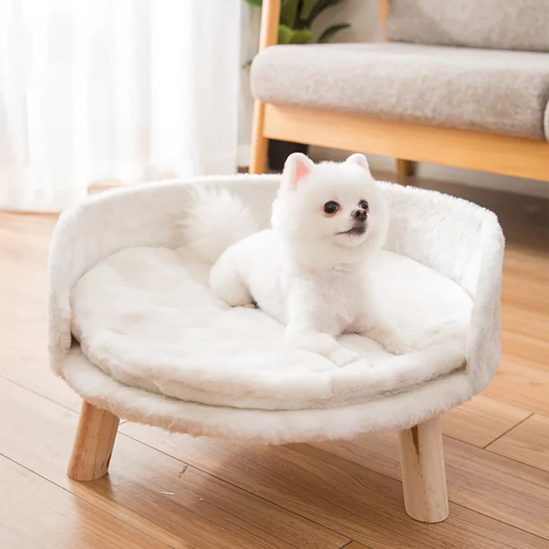 Fauteuil pour Petit Chien