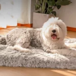 Tapis Apaisant Chien