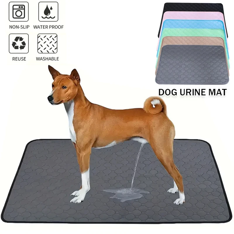 Tapis Absorbant Pipi Chien