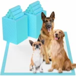 Tapis de Propreté Chien : Couches Super Absorbantes pour Chiens et Chiots