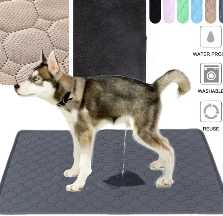 Tapis Absorbant Chien