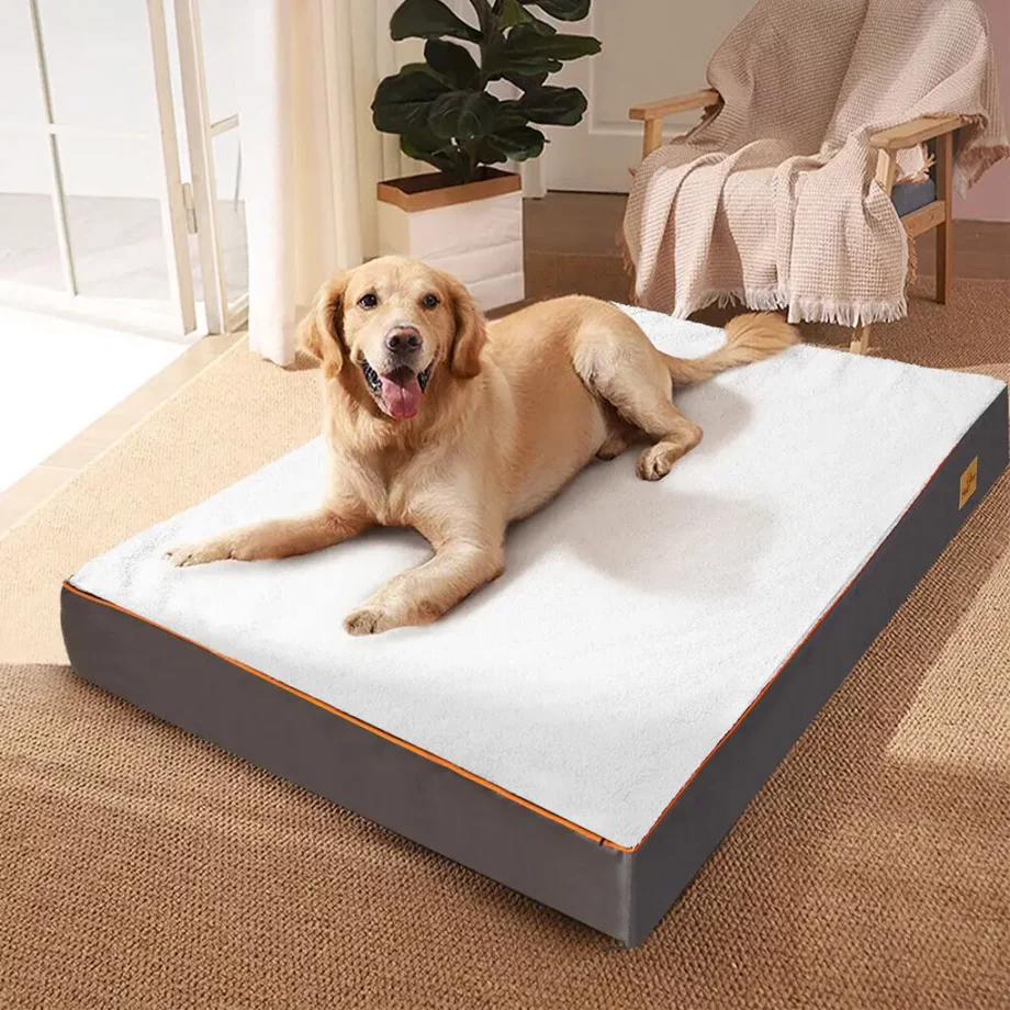 Matelas Mémoire de Forme pour Chien