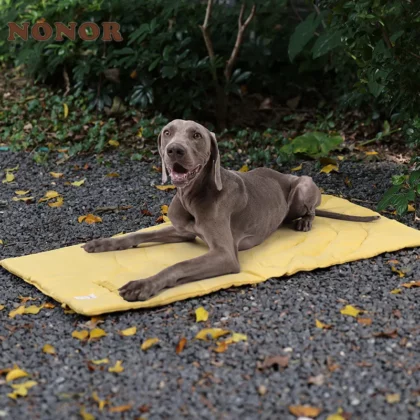 Tapis Chauffant Chien Extérieur