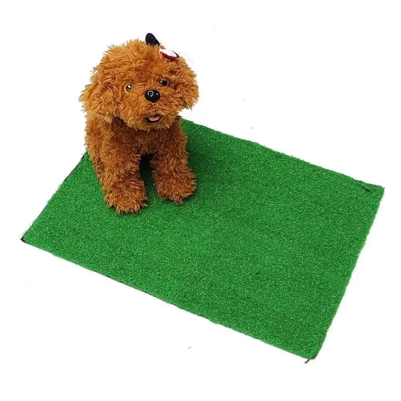 Tapis Gazon Synthétique pour Chien