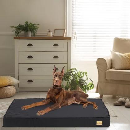 Matelas à Mémoire de Forme XXL pour Chien