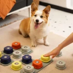 Tapis de Communication Chien