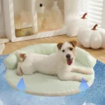 Tapis Rond Chien