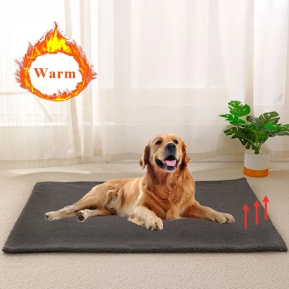 Tapis Auto Chauffant Chien