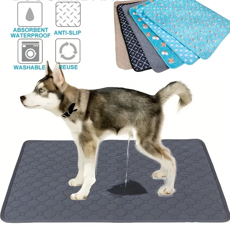 Tapis Pipi Chien